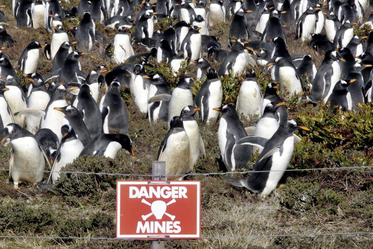 Vor dem 30. Jahrestag ist der Konflikt um die Falklands erneut aufgeflammt. Anfang des Jahres schickte Großbritannien ein Kriegsschiff zu den Inseln. Mitte März bekräftigte der argentinische Senat den Anspruch auf die „legitime“ Herrschaft über die Inselgruppe.