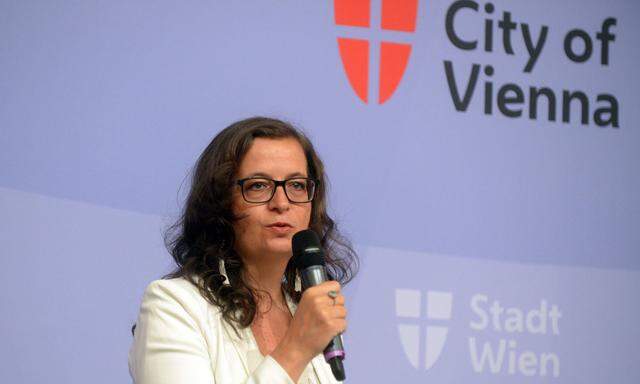SPÖ-Umweltstadträtin Ulrike Sima bei der Präsentation "Parkpickerl neu"