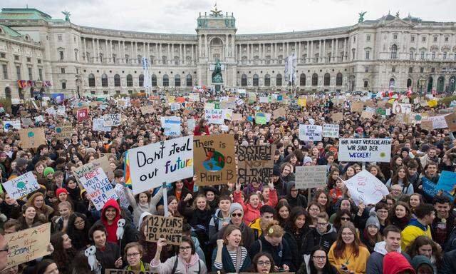 Die „Fridays for Future“-Bewegung mobilisierte Millionen von Menschen rund um den Globus. 