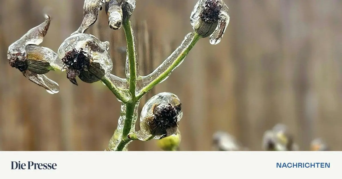 Wetter-bringt-oben-Sonne-und-unten-Nebel