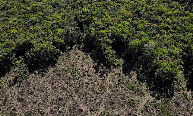 Ein Luftbild zeigt eine abgeholzte Fläche des Amazonas-Regenwaldes in Manaus.