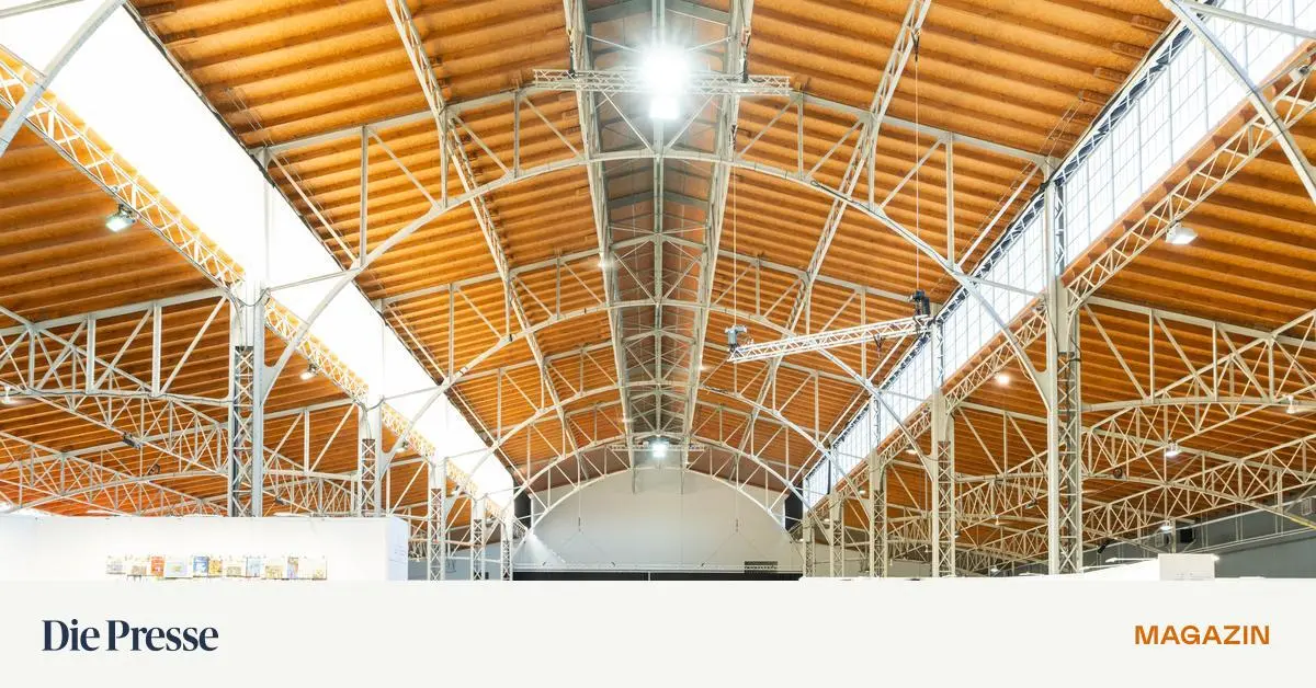 Zum-Aus-der-gro-en-Wiener-Kunstmessen-Ich-bin-m-de-von-den-Versprechungen-premium-