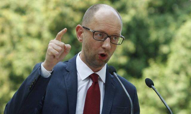 ITAR TASS KIEV UKRAINE AUGUST 8 2014 Ukraine s prime minister Arseny Yatsenyuk talks to the med