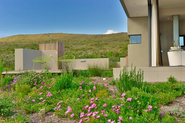 Luxury villa in the Grootbos nature reserve.