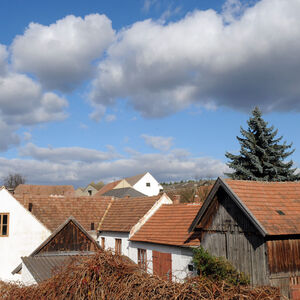  Früher gab es im Waldviertel keine Arbeit. Nun habe man zwar Arbeit, aber nicht genügend Mitarbeiter. 