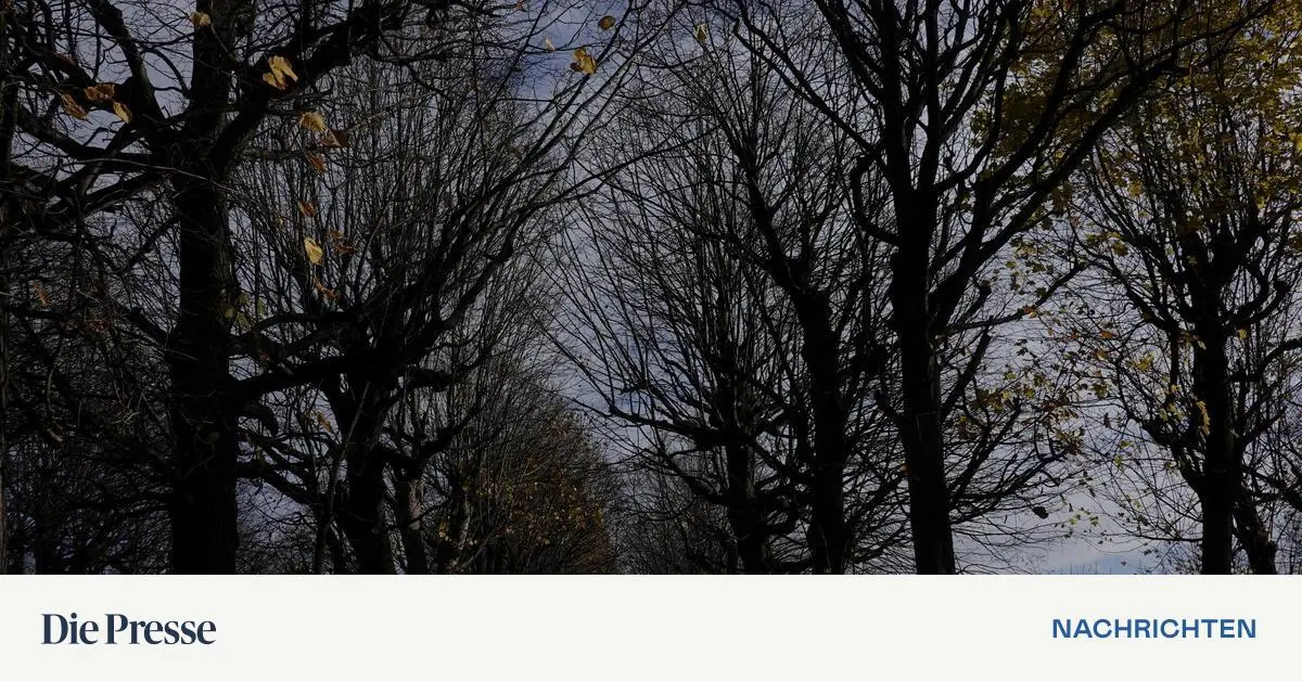 Das-Wetter-wird-zun-chst-regnerisch-dann-k-lter-und-vorwinterlich