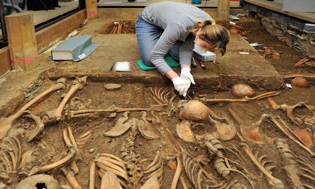 Eine Anthropologin untersucht Skelette aus dem Massengrab der Schlacht von Lützen (1632).