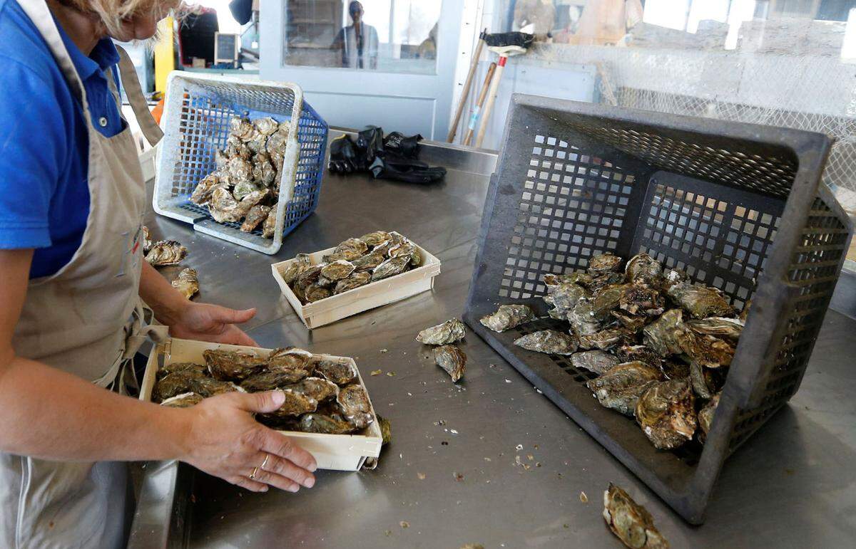 Der Verkauf von Automaten-Austern setzt natürlich aufgeschossene Verbraucher voraus. Werden die Muscheln nicht kühl genug oder zu lange außerhalb des Meerwassers gelagert, kann ihr Verzehr mit einer Lebensmittelvergiftung enden.