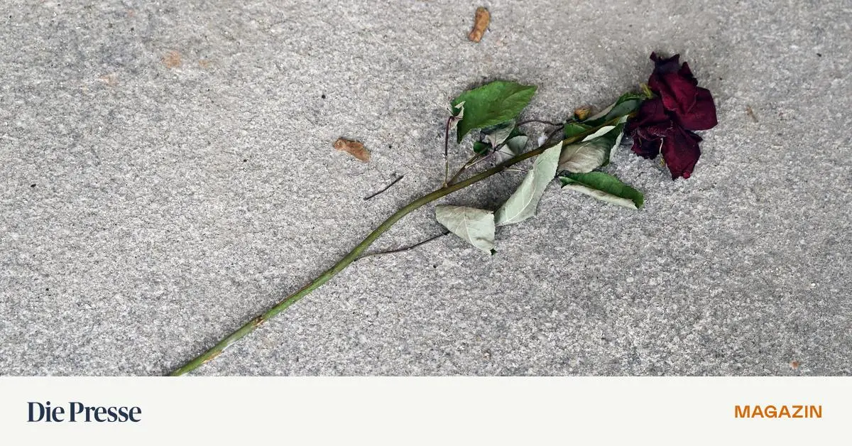 Versicherung-muss-Pensionisten-Sohn-nicht-ersetzen-premium-