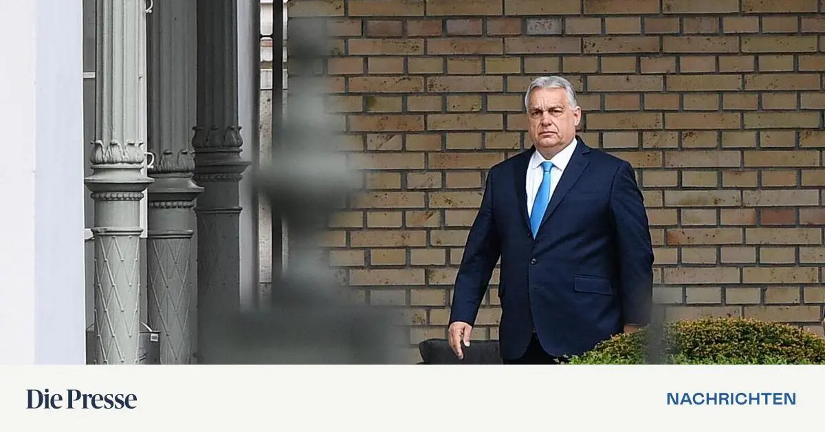 Theologen-zu-Ungarn-Wahl-Manche-glaubten-mehr-an-Orb-n-als-an-Christus-