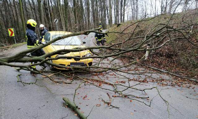 ++ HANDOUT ++ STURM: FEUERWEHREINSAeTZE IN NIEDEROeSTERREICH