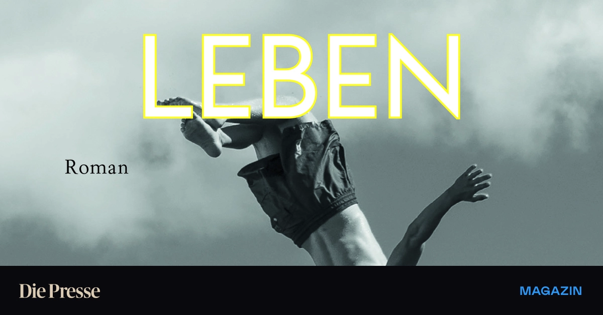 Der-Absturz-eines-Pflegekinds-Mokhtar-Amoudis-Frankreich-Roman-premium-