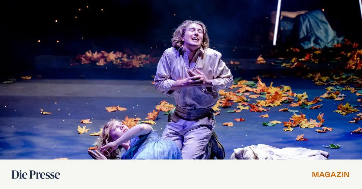 Im-Herbstlaub-Nur-halb-gegl-ckter-Sommernachtstraum-in-der-Josefstadt-premium-