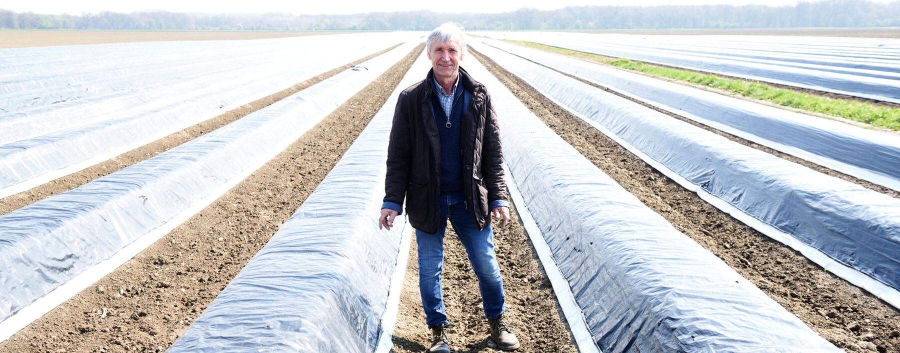 Werner Magoschitz produziert weißen, grünen und purpurnen Spargel im Marchfeld. Zu Spitzenzeiten sind bis zu 200 Menschen im Einsatz.