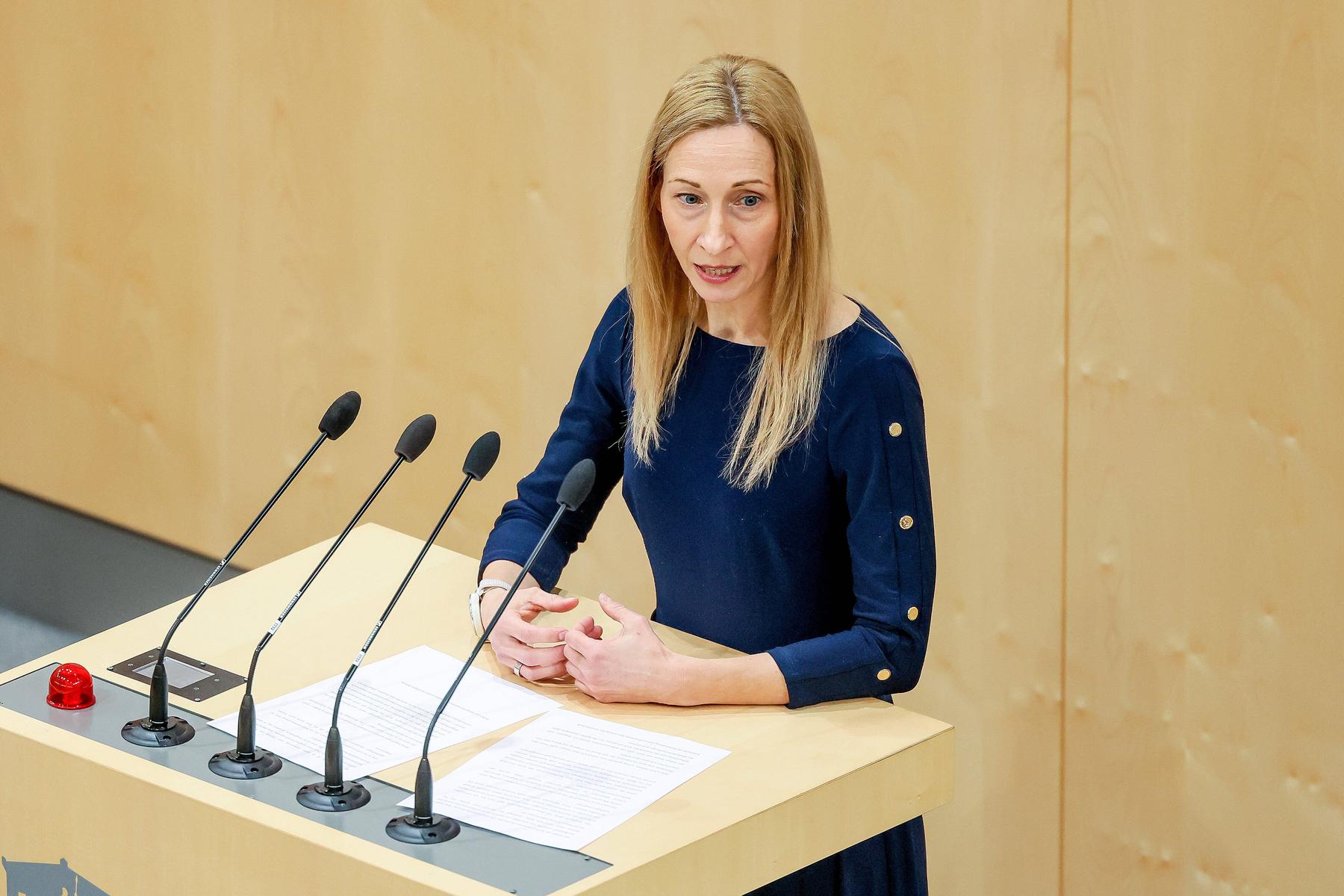 Grüne für systematische Erfassung von Waffenfunden bei Rechtsextremen