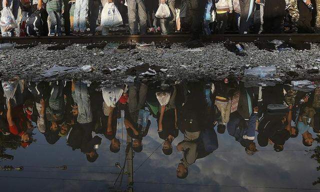 Syrian refugees are reflected in a puddle as they wait at the Greek-Macedonian border