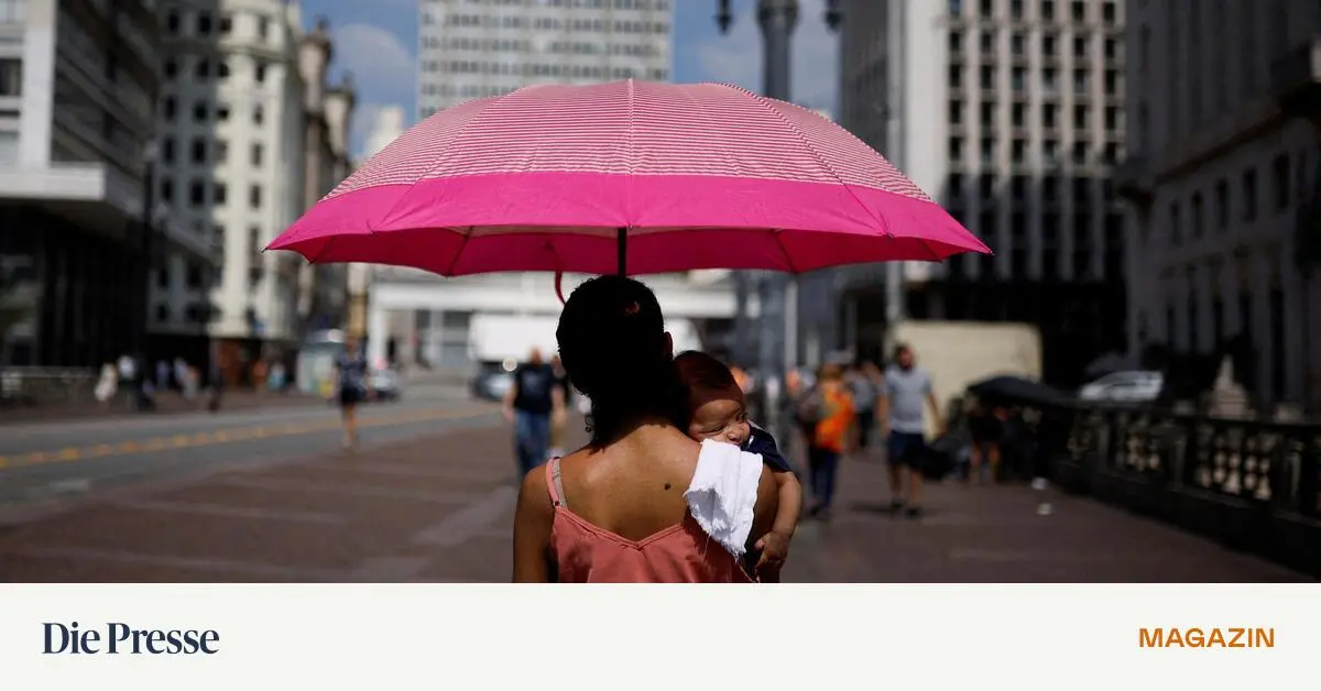 Der-Green-Deal-ist-angez-hlt-Es-geht-um-die-F-higkeit-zu-berleben-premium-