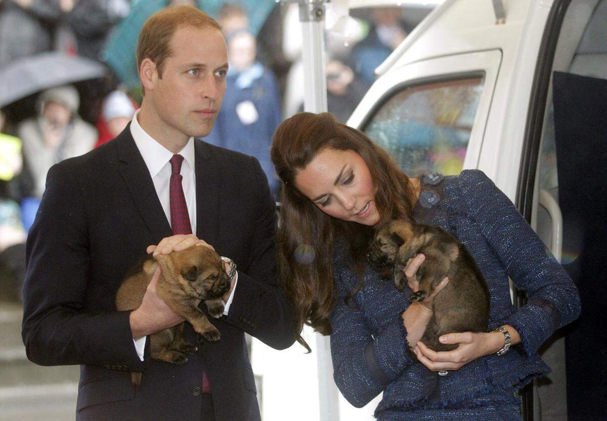 Am letzten Tag in Neuseeland besuchte die Royals die Royal New Zealand Police College, wo sie auch die jungen Ausbildungswelpen begutachten konnte. Die Herzogin trug ein Tweekostüm von Rebecca Taylor. Die Designerin stammt ursprünglich aus Neuseeland.