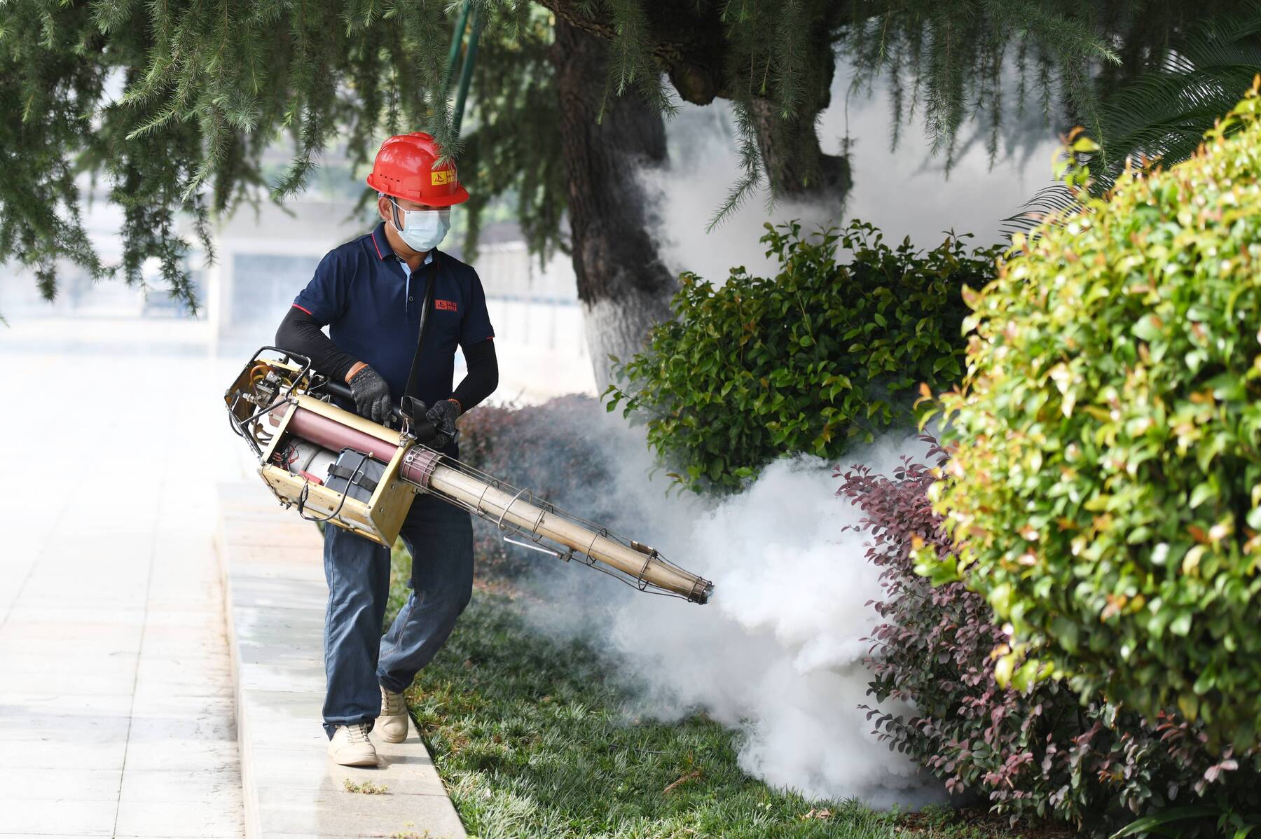 Chikungunya virus could soon become a European problem