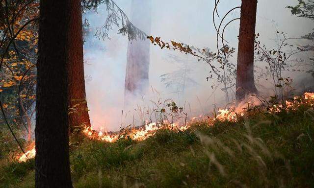 156-mal brannte es heuer in Österreichs Wäldern, 117-mal menschenverschuldet.  