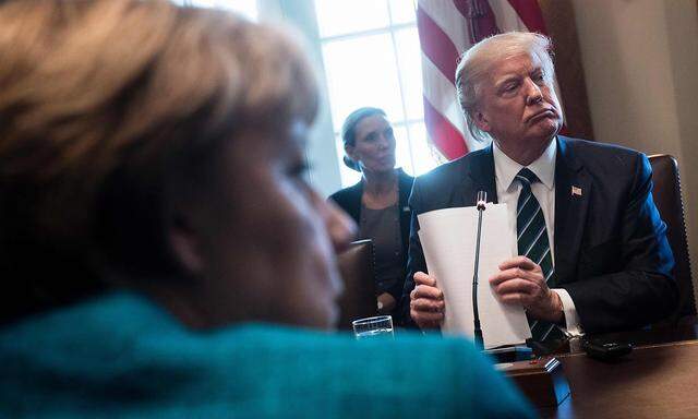 Trump und Merkel (links im Vordergrund) am Freitag in Washington