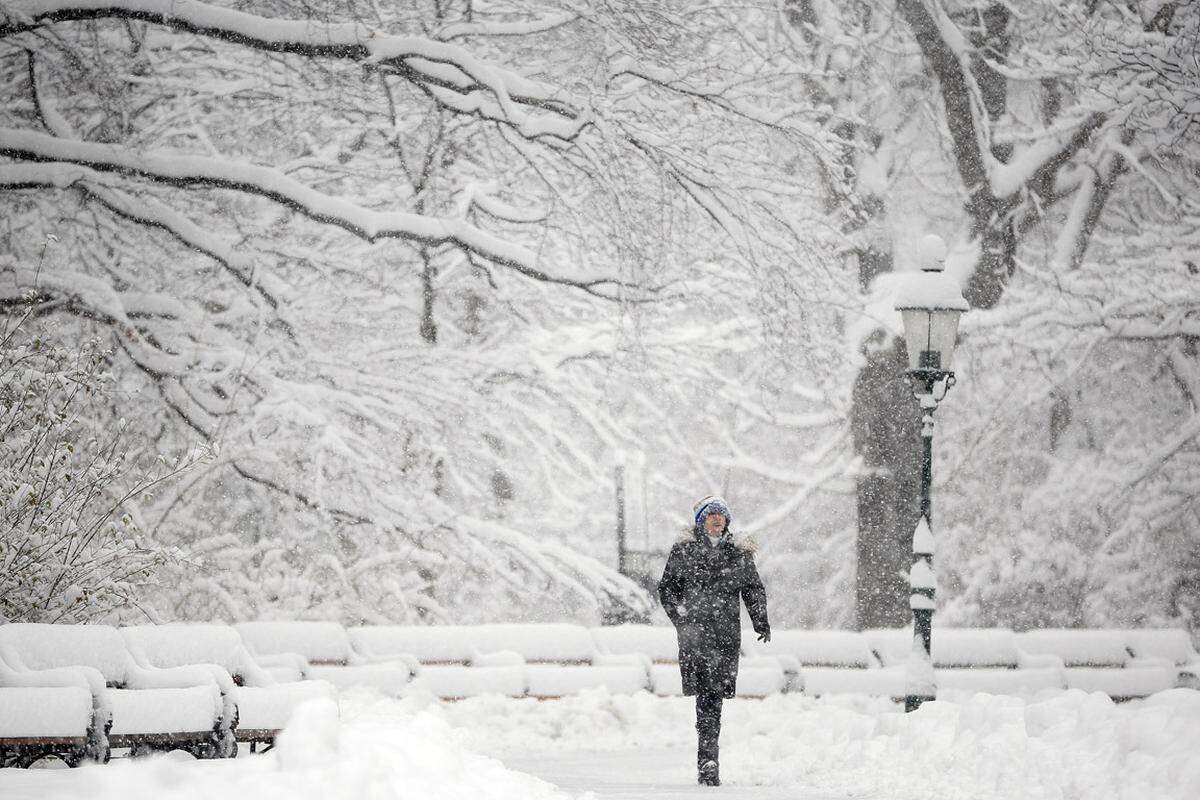 Der Stadtpark war dagegen die reinste Winter-Idylle.