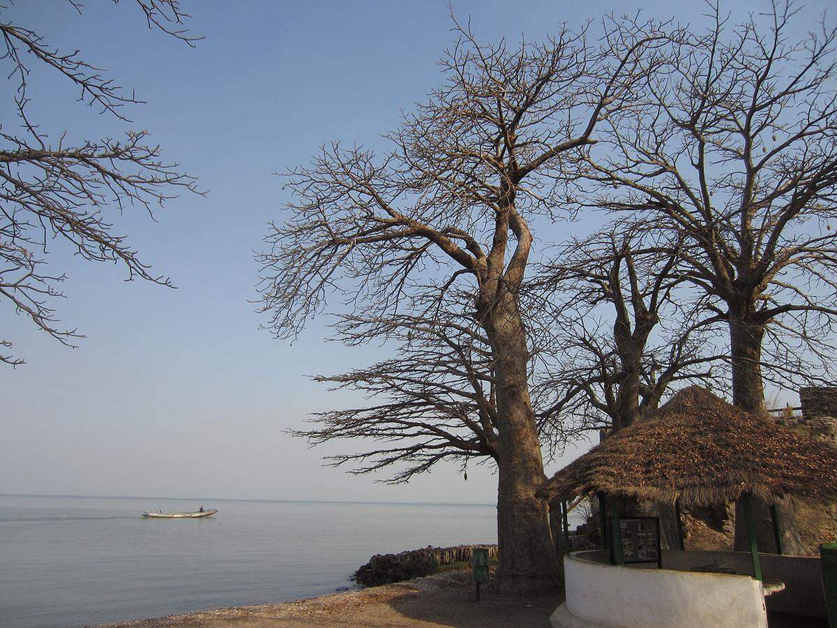 Das Land mit den Beinahe-Linealgrenzen ist laut Legende exakt so breit, wie im 18. Jahrhundert eine von der Flussmitte des Gambiaflusses abgefeuerte Kanonenkugel flog – so weit herrschte der Einfluss der Briten mitten im französischen Senegal.