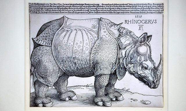 Duerers Holzschnitt Rhinocerus erzielt