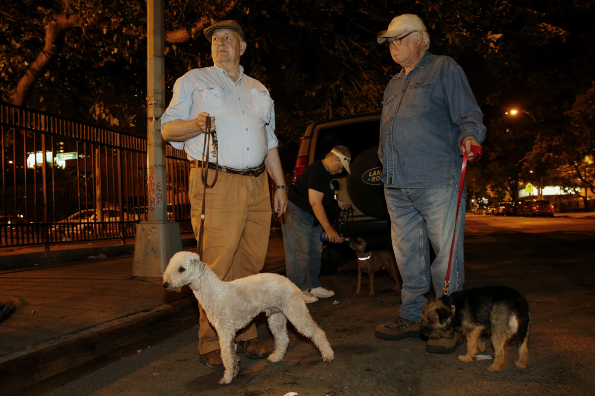 In Gruppen mit je acht Hunden ziehen die Rattenfänger von New York los.