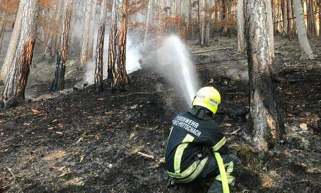  Ein Feuerwehrmann bei der Brandbekämpfung in Hirschwang/Rax. 