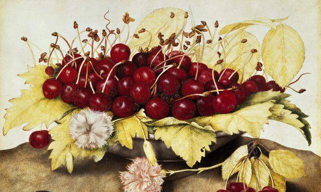 Ein Geschenk! Und keine einzige Kirsche war wurmstichig. Giovanna Garzoni: „Schale mit Kirschen und Nelken“, 1650.  