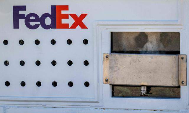 Suchbild mit Bär: Riesenpanda Mei Xiang hinter dem Fenster der Kiste beim Transport nach China.