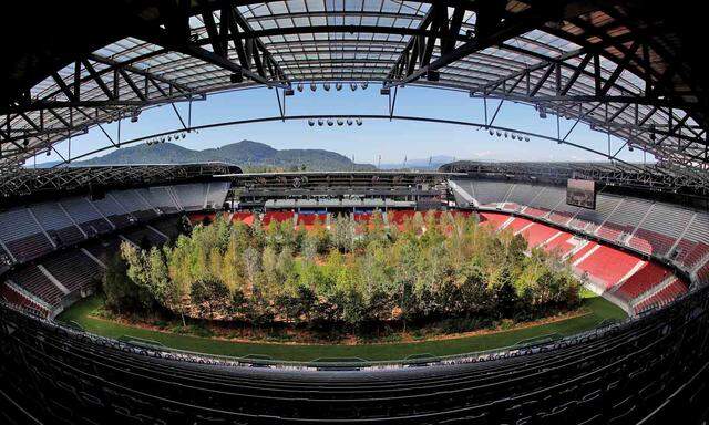 „For Forest“, 299 Bäume im Stadion Wörthersee: Ein Symbolbild für gleich mehrere Paradoxien in aktivistischer Kunst- und Klimapolitik.