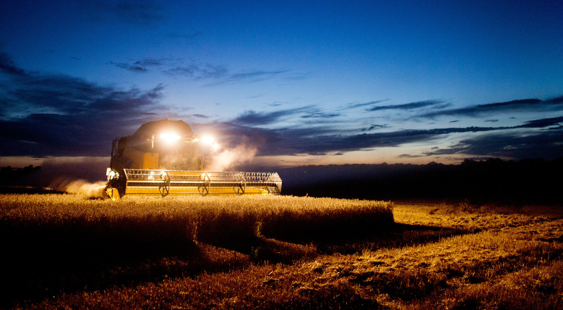Austria's Farmers Battle Historic Drought, Prices May Rise