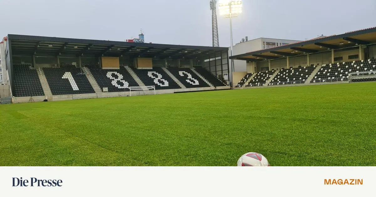 Der-Sport-Club-Platz-von-Dornbach-erstrahlt-wieder-premium-