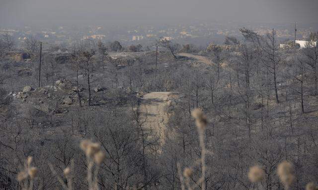 Auf Rhodos ist eine Fläche, die größer als jene der Stadt Graz ist, abgebrannt.