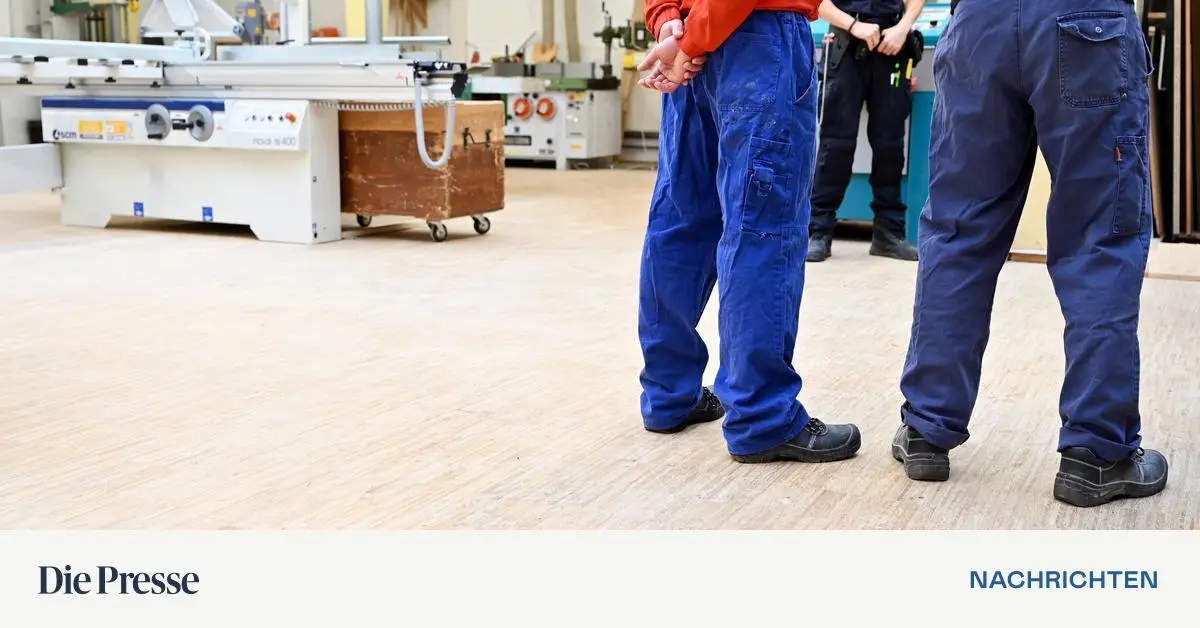 Wien-plant-geschlossene-WGs-f-r-Intensivt-ter-unter-14-Jahren