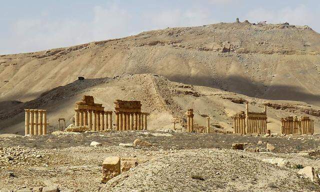 Archivbild: Zerstörte Skulpturen in Palmyra 
