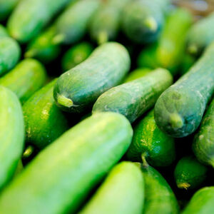 Wie stark gekrümmt dürfen Gurken sein?