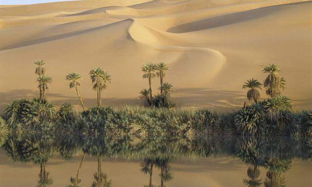 Ein paar Grad Durchschnittstemperatur mehr in der Sahelzone bedeuten, dass die Wüste sich Hunderte Kilometer weiter ausdehnt.