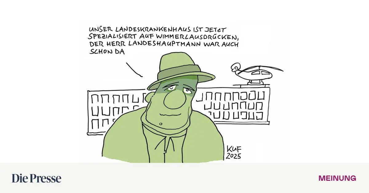 Steiermark-Die-FP-richtet-sich-in-der-Macht-ein-premium-