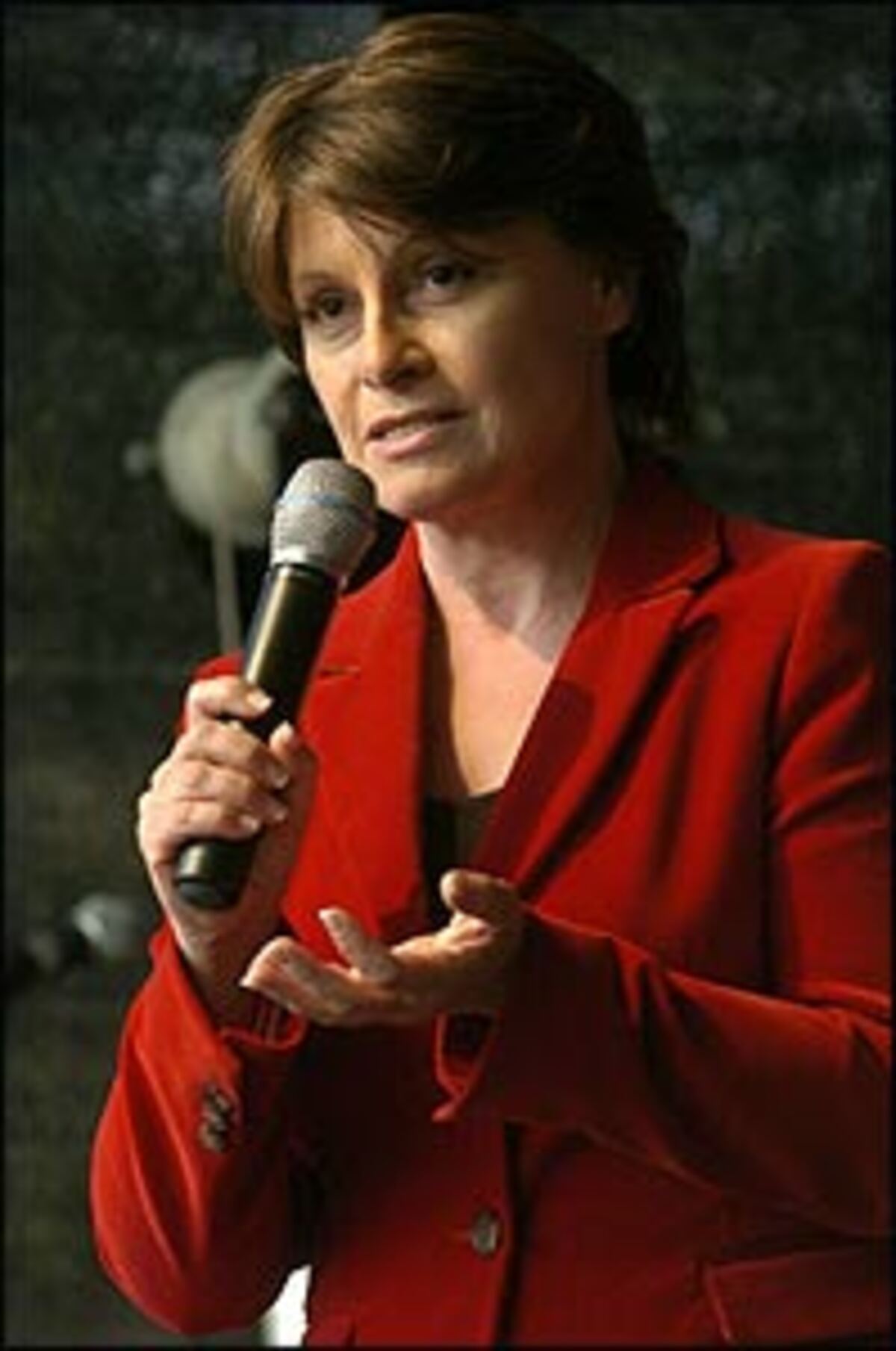 Die SPÖ möchte auch wieder ein eigenes Frauen-Ministerium einrichten Hier kommt wohl eher kein Mann in Frage, die Hauptanwärtern ist SP-Frauensprecherin und Wiener Spitzenkandidatin Andrea Kuntzl.