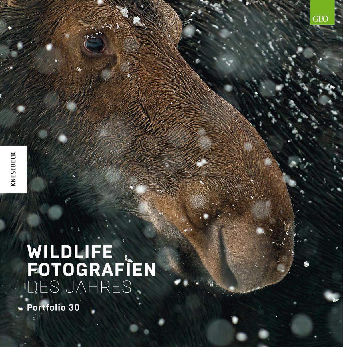 Die Wildlife Fotografien des Jahres hat der Knesebeck Verlag in diesem Buch gesammelt.    
