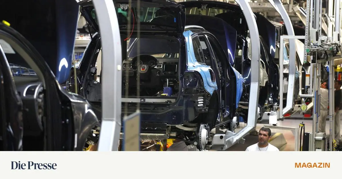 Der-slowakische-Karpatentiger-wurde-zur-m-den-Katze