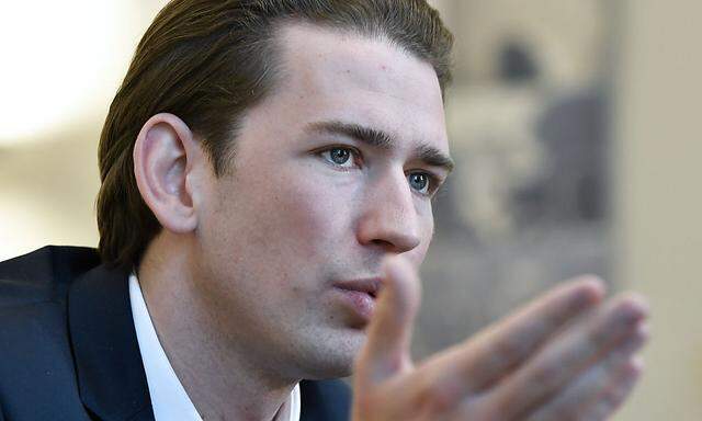 Kurz: "Werde mit Van der Bellen ausgezeichnet zusammenarbeiten"