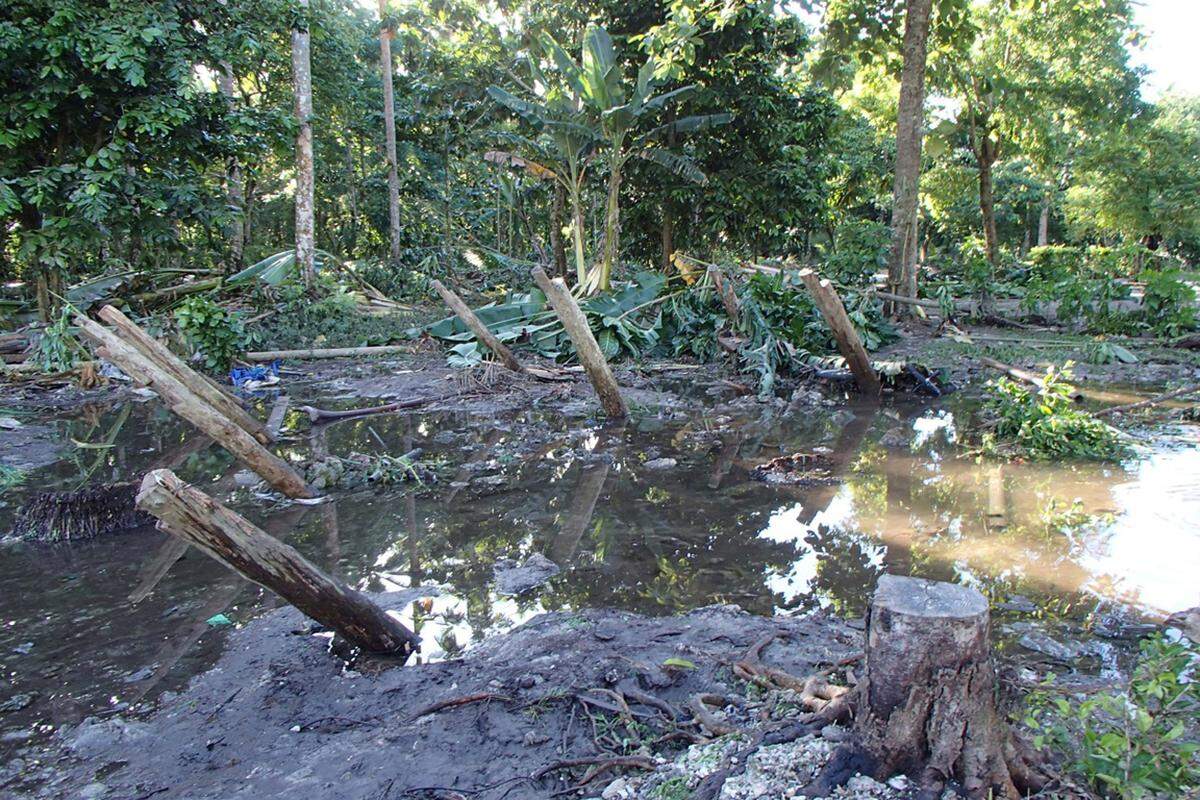 Die Abgelegenheit des betroffenen Gebietes etwa 600 Kilometer von der Hauptstadt Honiara entfernt erschwert die Hilfsarbeiten.Im Bild: umgestürzte Bäume liegen im zurückgebliebenen Wasser im Dorf Venga.