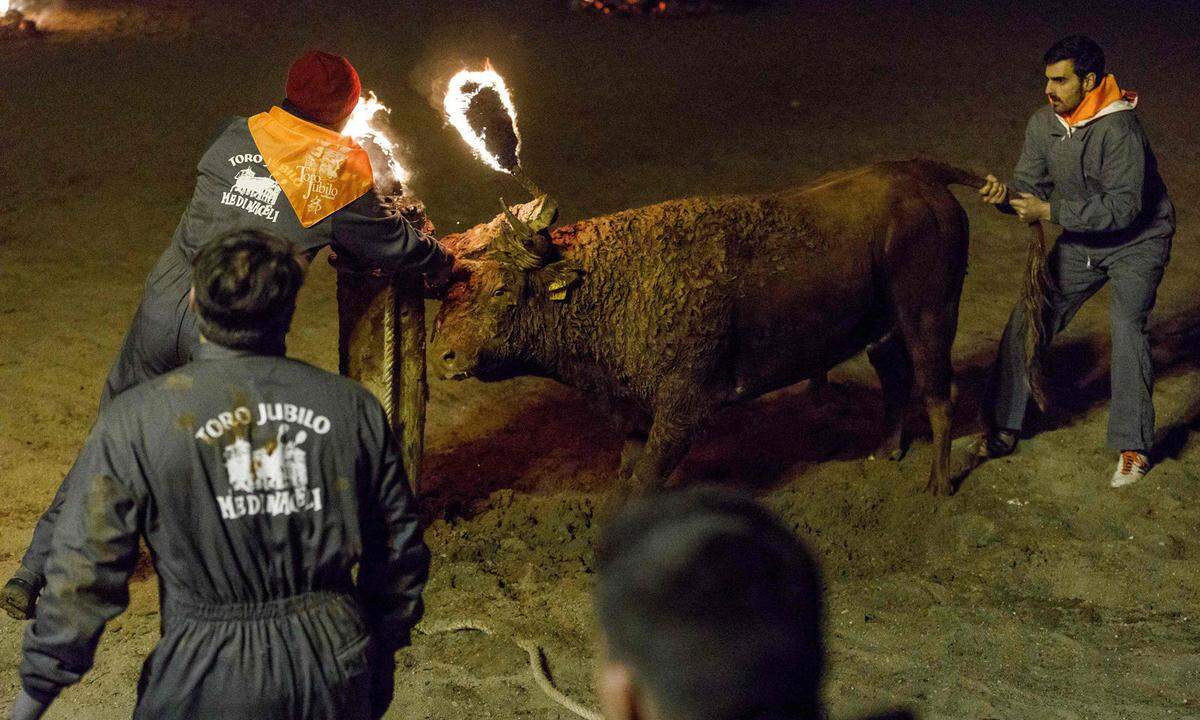 Das sehen Tierschützer, wie die spanische Partei PACMA anders, durch das Feuer bzw. die Löschversuche des Tieres zögen sich die Stiere massive Verletzungen zu.