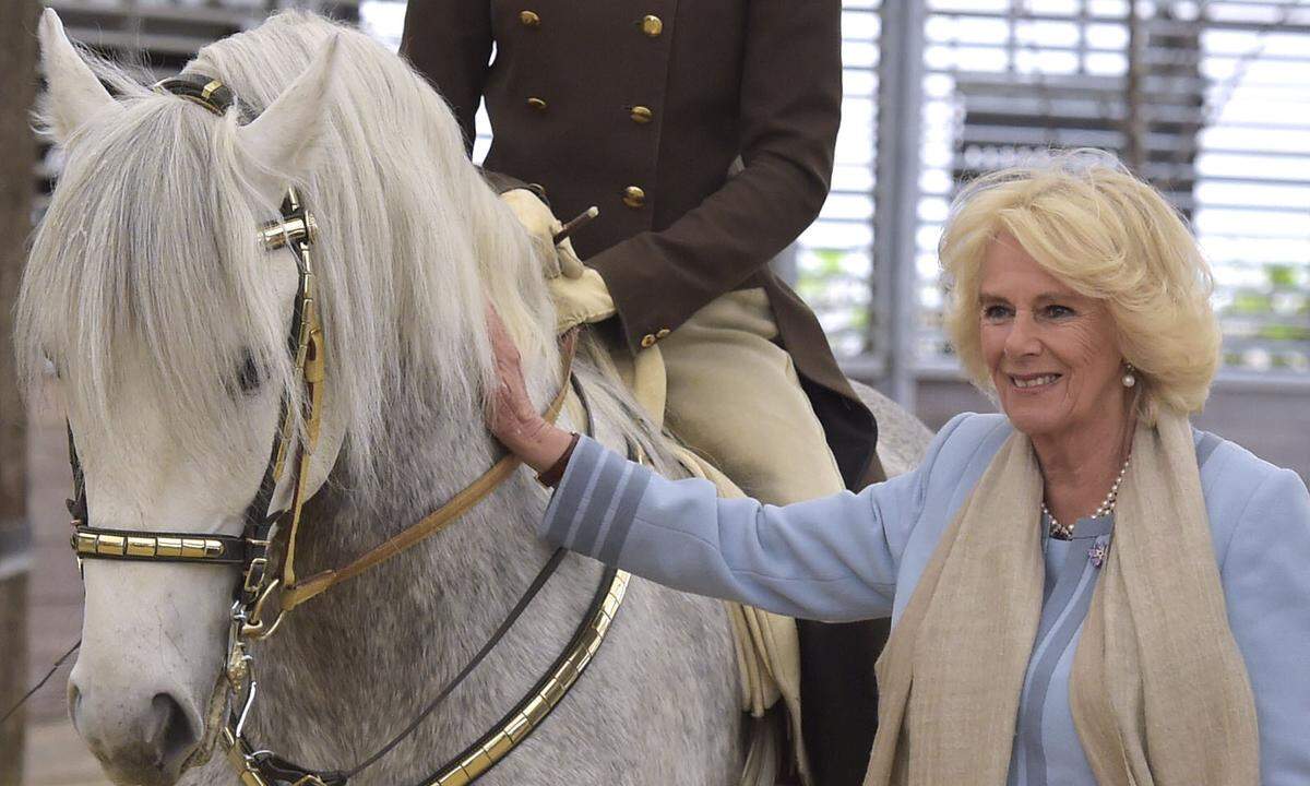 Für den Nachmittag stand für Camilla die Spanische Hofreitschule auf dem Programm. Begleitet wurde sie dabei nicht von ihrem Ehemann Prinz Charles, der währenddessen an einer Diskussionsveranstaltung der OSZE teilnahm, sondern von Landwirtschaftsminister Andrä Rupprechter und der Generaldirektorin der Hofreitschule, Elisabeth Gürtler.