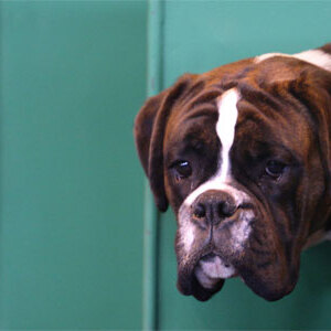 Investment Beautiful