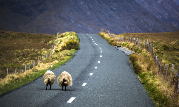 Die Grenze zwischen Nordirland und der Republik Irland ist 499 Kilometer lang – und lässt sich wegen ihres mäandernden Verlaufs und der mehr als 200 befahrbaren Grenzübergänge nur äußerst schwierig kontrollieren. 